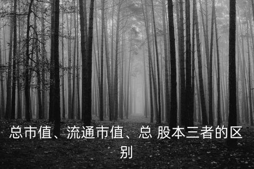 總市值、流通市值、總 股本三者的區(qū)別