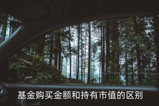  基金購(gòu)買(mǎi)金額和持有市值的區(qū)別