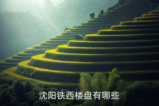 遼寧世代房地產公司,遼寧房地產公司和董事長名字