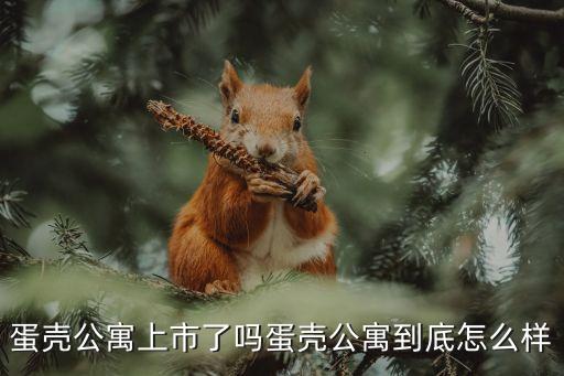 華人投資基金,中國(guó)投資基金公司