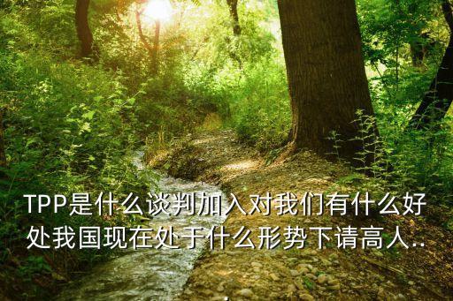 TPP是什么談判加入對(duì)我們有什么好處我國現(xiàn)在處于什么形勢下請(qǐng)高人...