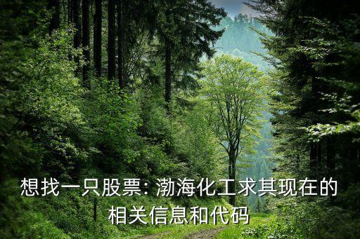 想找一只股票: 渤?；で笃洮F(xiàn)在的相關(guān)信息和代碼