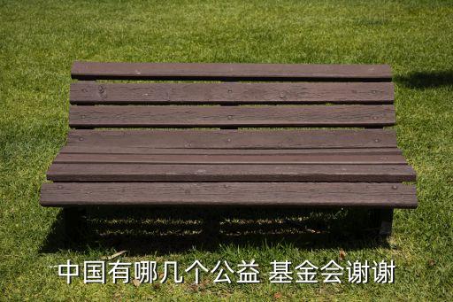 中國有哪幾個(gè)公益 基金會謝謝