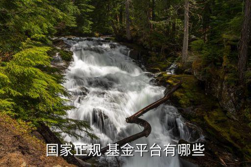 什么網(wǎng)站買(mǎi)基金好,現(xiàn)在買(mǎi)什么基金最賺錢(qián)