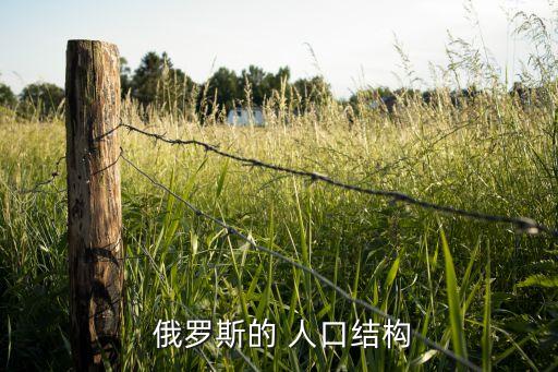  俄羅斯的 人口結構