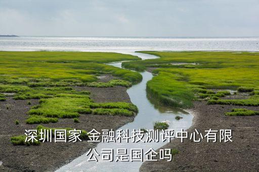 深圳國家 金融科技測評(píng)中心有限 公司是國企嗎