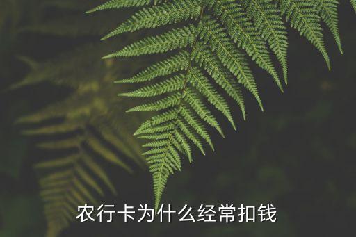農(nóng)行卡為什么經(jīng)?？坼X