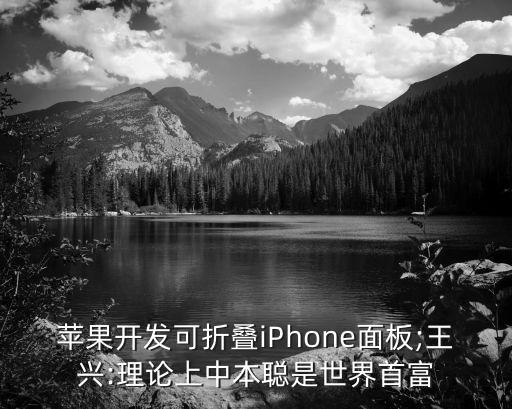 蘋果開(kāi)發(fā)可折疊iPhone面板;王興:理論上中本聰是世界首富