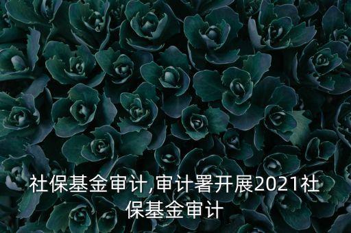 美國社保基金審計,審計署開展2021社?；饘徲?/></a></span><span id=