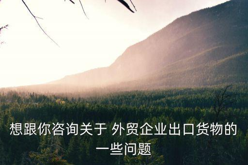 想跟你咨詢關于 外貿企業(yè)出口貨物的一些問題