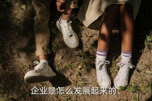 企業(yè)是怎么發(fā)展起來的、