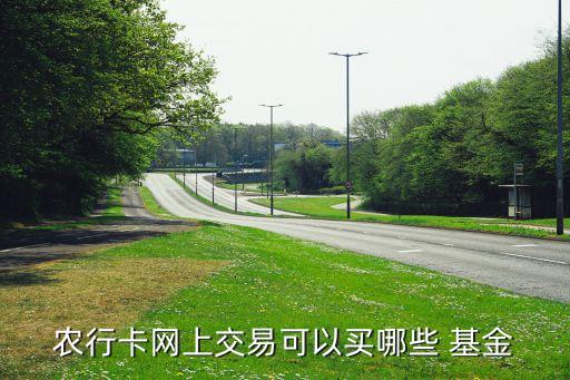 農行卡網上交易可以買哪些 基金
