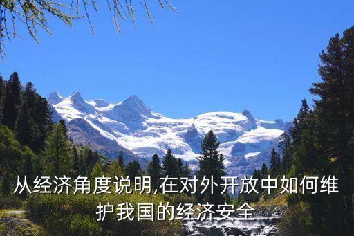 從經(jīng)濟角度說明,在對外開放中如何維護我國的經(jīng)濟安全