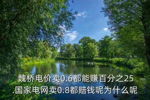  魏橋電價賣0.6都能賺百分之25.國家電網賣0.8都賠錢呢為什么呢