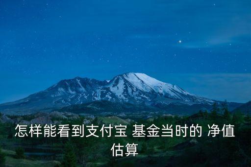 怎樣能看到支付寶 基金當時的 凈值估算