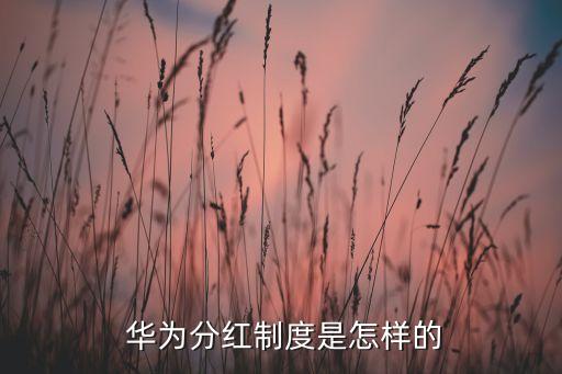 華為員工股票兌現(xiàn),華為15級(jí)員工能配多少股票