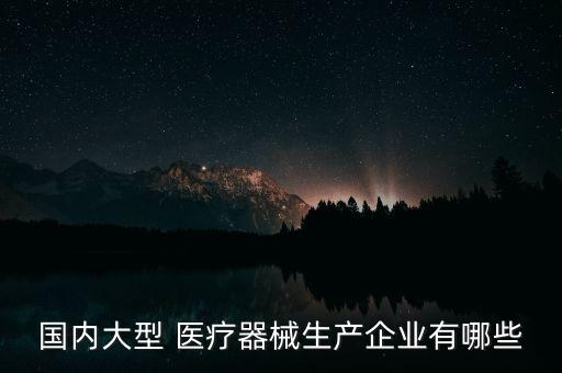國內大型 醫(yī)療器械生產企業(yè)有哪些