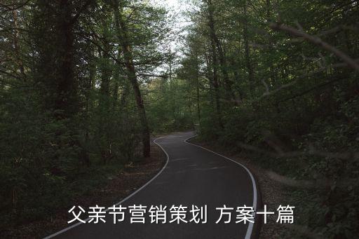  父親節(jié)營(yíng)銷策劃 方案十篇
