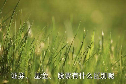 證券、 基金、 股票有什么區(qū)別呢