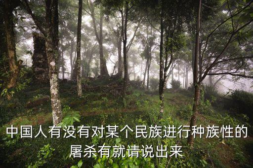 中國人有沒有對某個(gè)民族進(jìn)行種族性的屠殺有就請說出來