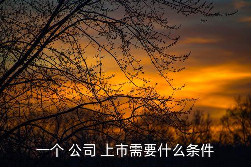 公司上市法律意見(jiàn)書,公司法務(wù)部法律意見(jiàn)書