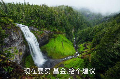 現在要買 基金,給個建議