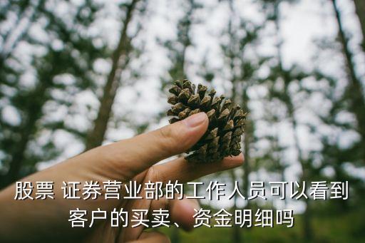 股票 證券營業(yè)部的工作人員可以看到客戶的買賣、資金明細(xì)嗎