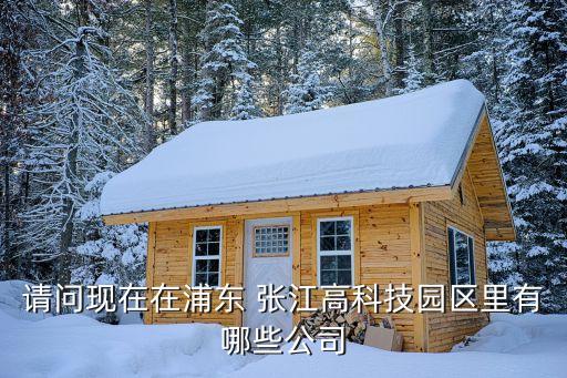 請(qǐng)問現(xiàn)在在浦東 張江高科技園區(qū)里有哪些公司