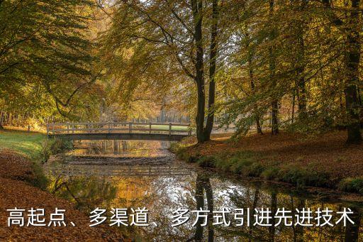 高起點(diǎn)、多渠道、多方式引進(jìn)先進(jìn)技術(shù)
