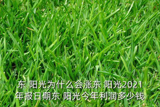 東 陽(yáng)光為什么會(huì)漲東 陽(yáng)光2021年報(bào)日期東 陽(yáng)光今年利潤(rùn)多少錢(qián)