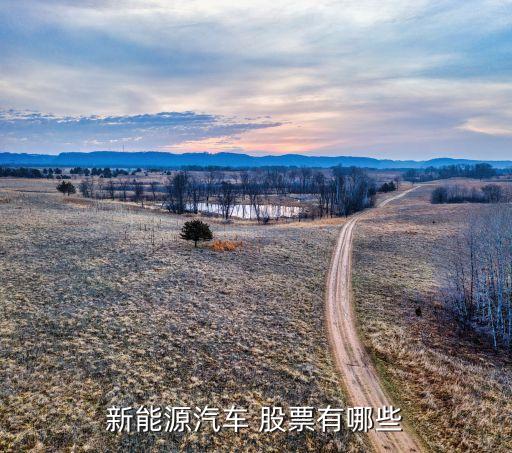 新能源汽車(chē) 股票有哪些