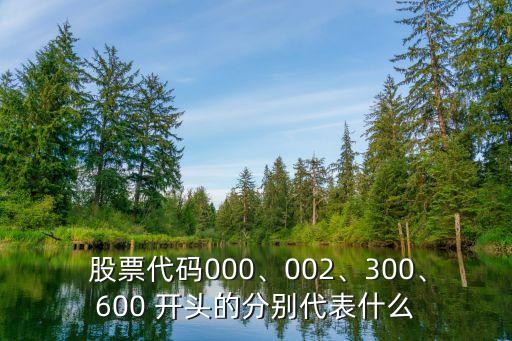  股票代碼000、002、300、600 開頭的分別代表什么