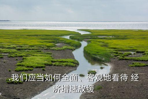 .我們應(yīng)當(dāng)如何全面、客觀地看待 經(jīng)濟(jì)增速放緩