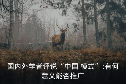 國內外學者評說“中國 模式”:有何意義能否推廣