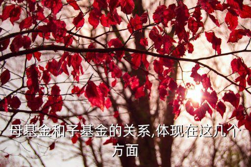 母基金和子基金的關系,體現(xiàn)在這幾個方面