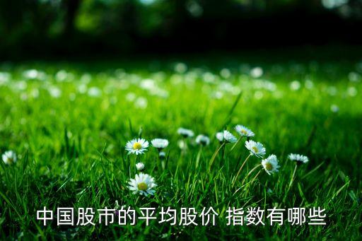 中證200指數基金,中證白酒指數基金