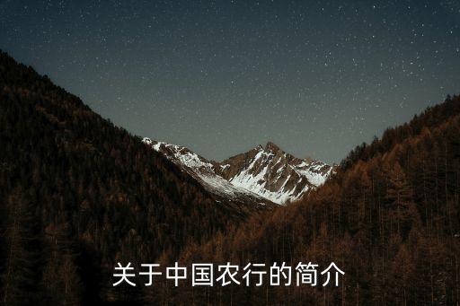 關于中國農行的簡介