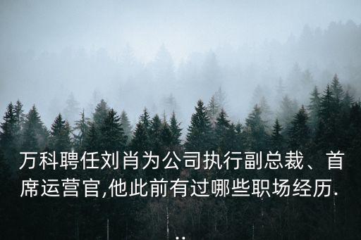  萬科聘任劉肖為公司執(zhí)行副總裁、首席運(yùn)營官,他此前有過哪些職場(chǎng)經(jīng)歷...