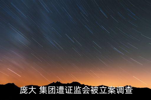  龐大 集團遭證監(jiān)會被立案調(diào)查