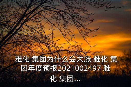  雅化 集團(tuán)為什么會大漲 雅化 集團(tuán)年度預(yù)報2021002497 雅化 集團(tuán)...