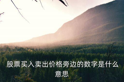  股票買入賣出價格旁邊的數字是什么意思