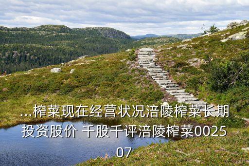 ...榨菜現(xiàn)在經(jīng)營狀況涪陵榨菜長期投資股價(jià) 千股千評(píng)涪陵榨菜002507