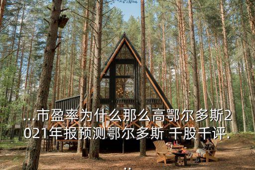 ...市盈率為什么那么高鄂爾多斯2021年報(bào)預(yù)測鄂爾多斯 千股千評(píng)...
