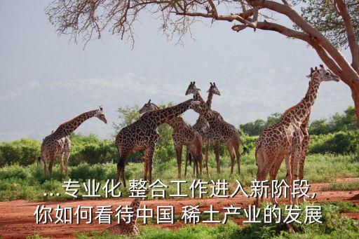 ...專業(yè)化 整合工作進入新階段,你如何看待中國 稀土產業(yè)的發(fā)展