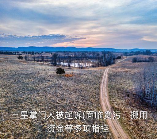  三星掌門人被起訴(面臨貪污、挪用資金等多項指控