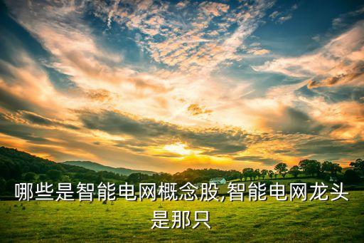 哪些是智能電網概念股,智能電網龍頭是那只