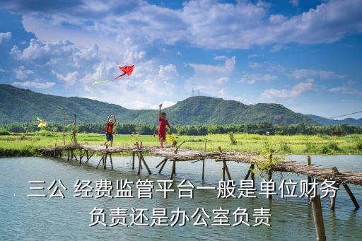  三公 經費監(jiān)管平臺一般是單位財務負責還是辦公室負責