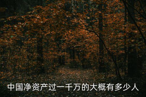 中國(guó)凈資產(chǎn)過一千萬(wàn)的大概有多少人