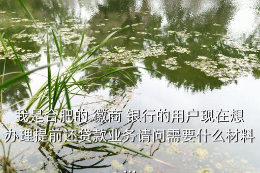我是合肥的 徽商 銀行的用戶現(xiàn)在想辦理提前還貸款業(yè)務(wù)請(qǐng)問需要什么材料...