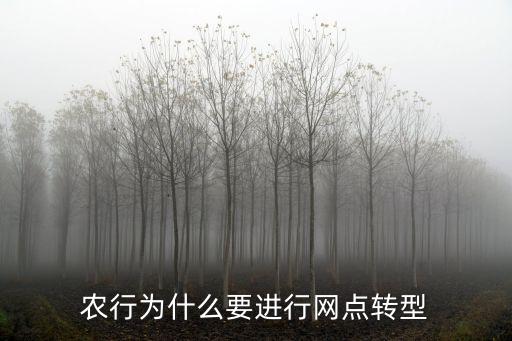 農(nóng)行為什么要進行網(wǎng)點轉(zhuǎn)型